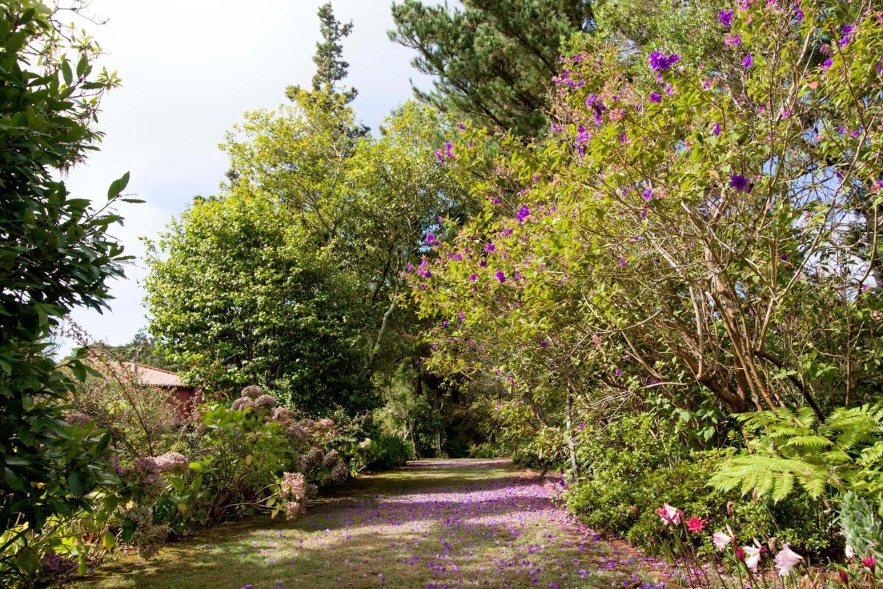 Quinta Santo Antonio Da Serra Eksteriør bilde